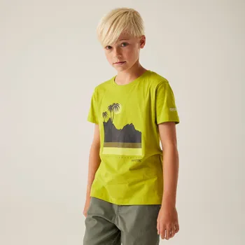 Regatta Dětské bavněné triko Bosley VIII RKT161 grenoble green Velikost: 158