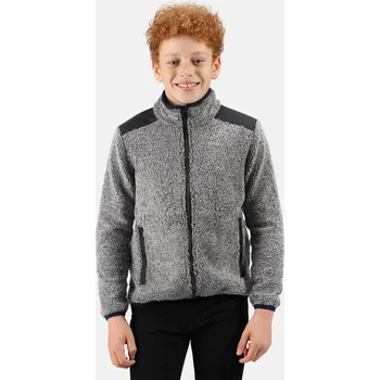 Chlapecká mikina Regatta Dětská fleecová mikina Mykelti RKA343 šedá Velikost: 128