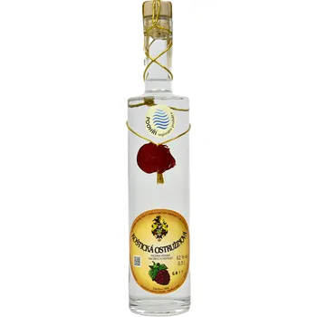 Alkoholický nápoj Ostružinový Geist Karfíkův Dvůr 0,5l 42%