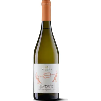 Víno Chardonnay Marca Trevigiana IGT 2019, Cantina Colli del Soligo, 0,75l