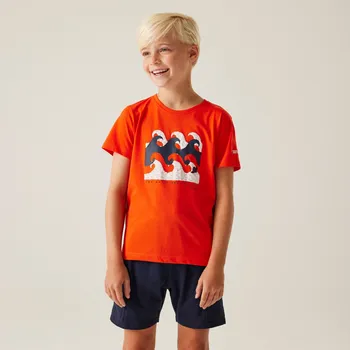 Sportovní oblečení Regatta Dětské bavněné triko Bosley VIII RKT161 tangerine tango Velikost: 140