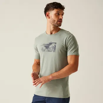 Pánské tričko Regatta Pánské bavlněné triko Cline IX RMT296 sv. oliva Velikost: L