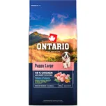 Ontario Puppy & Junior Large…