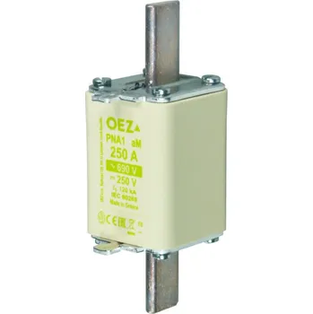 Autopojistky Pojistka PNA1 100A aM