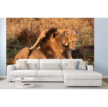 Fototapeta DIMEX | Samolepicí vliesová fototapeta na zeď Lví rande MA-5-0540 | 375 x 250 cm | zelená, oranžová, hnědá + Samolepicí vliesová fototapeta na stěnu DIMEX Lví rande MA50540 v rozměru 375 x 250 cm