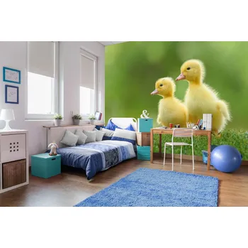 Fototapeta DIMEX | Samolepicí vliesová fototapeta na zeď Dvě žlutá kachňátka MA-5-0472 | 375 x 250 cm | zelená, žlutá, oranžová + Samolepicí vliesová fototapeta na stěnu DIMEX Dvě žlutá kachňátka MA50472 v rozměru 375 x 250 cm