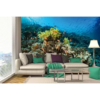 Fototapeta DIMEX | Samolepicí vliesová fototapeta na zeď Krásné korály MA-5-0530 | 375 x 250 cm | modrá, béžová, žlutá + Samolepicí vliesová fototapeta na stěnu DIMEX Krásné korály MA50530 v rozměru 375 x 250 cm