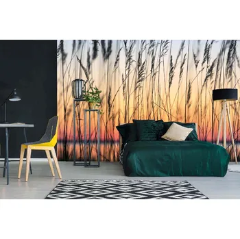 Fototapeta DIMEX | Samolepicí vliesová fototapeta na zeď Rákosí MA-5-1363 | 375 x 250 cm | černá, oranžová, růžová + Samolepicí vliesová fototapeta na stěnu DIMEX Rákosí MA51363 v rozměru 375 x 250 cm