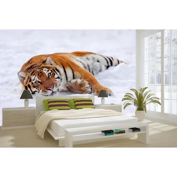 Fototapeta DIMEX | Samolepicí vliesová fototapeta na zeď Tygr ve sněhu MA-5-0595 | 375 x 250 cm | bílá, černá, oranžová + Samolepicí vliesová fototapeta na stěnu DIMEX Tygr ve sněhu MA50595 v rozměru 375 x 250 cm