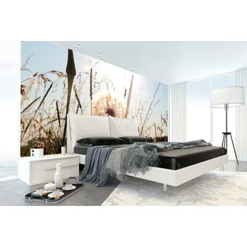 Fototapeta DIMEX | Samolepicí vliesová fototapeta na zeď Letní pampeliška MA-5-1339 | 375 x 250 cm | zelená, modrá, bílá, krémová + Samolepicí vliesová fototapeta na stěnu DIMEX Letní pampeliška MA51339 v rozměru 375 x 250 cm