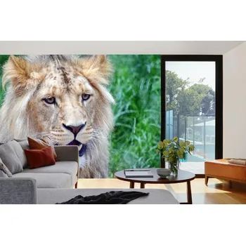 Fototapeta DIMEX | Samolepicí vliesová fototapeta na zeď Lví hlava MA-5-0602 | 375 x 250 cm | zelená, béžová, hnědá + Samolepicí vliesová fototapeta na stěnu DIMEX Lví hlava MA50602 v rozměru 375 x 250 cm