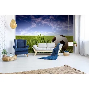 Fototapeta DIMEX | Samolepicí vliesová fototapeta na zeď Fotbalový míč MA-5-0305 | 375 x 250 cm | zelená, modrá, bílá, černá + Samolepicí vliesová fototapeta na stěnu DIMEX Fotbalový míč MA50305 v rozměru 375 x 250 cm