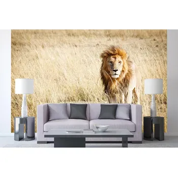 Fototapeta DIMEX | Samolepicí vliesová fototapeta na zeď Král savany MA-5-0604 | 375 x 250 cm | béžová, hnědá + Samolepicí vliesová fototapeta na stěnu DIMEX Král savany MA50604 v rozměru 375 x 250 cm