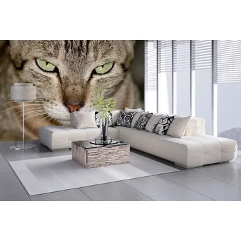 Fototapeta DIMEX | Samolepicí vliesová fototapeta na zeď Oční kontakt MA-5-0554 | 375 x 250 cm | zelená, béžová, šedá + Samolepicí vliesová fototapeta na stěnu DIMEX Oční kontakt MA50554 v rozměru 375 x 250 cm