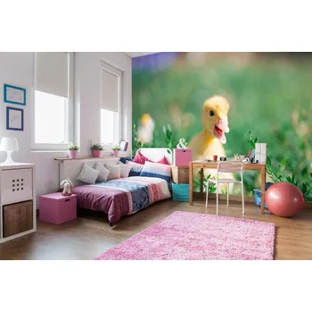 Fototapeta DIMEX | Samolepicí vliesová fototapeta na zeď Žluté káčátko MA-5-0474 | 375 x 250 cm | zelená, žlutá, oranžová + Samolepicí vliesová fototapeta na stěnu DIMEX Žluté káčátko MA50474 v rozměru 375 x 250 cm