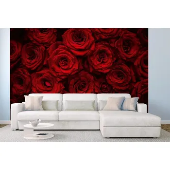 Fototapeta DIMEX | Samolepicí vliesová fototapeta na zeď Krásné červené růže MA-5-1397 | 375 x 250 cm | červená, černá + Samolepicí vliesová fototapeta na stěnu DIMEX Krásné červené růže MA51397 v rozměru 375 x 250 cm