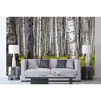 Fototapeta DIMEX | Samolepicí vliesová fototapeta na zeď Březový háj V. MA-5-1911 | 375 x 250 cm | zelená, bílá, černá, žlutá + Samolepicí vliesová fototapeta na stěnu DIMEX Březový háj V. MA51911 v rozměru 375 x 250 cm