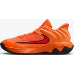 Nike Giannis Immortality 4 EUR 47