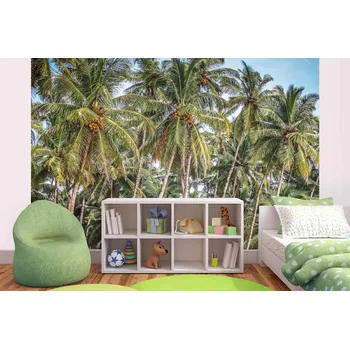 Fototapeta DIMEX | Samolepicí vliesová fototapeta na zeď Palma s kokosem MA-5-1779 | 375 x 250 cm | zelená, modrá, hnědá + Samolepicí vliesová fototapeta na stěnu DIMEX Palma s kokosem MA51779 v rozměru 375 x 250 cm