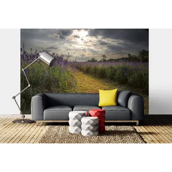Fototapeta DIMEX | Samolepicí vliesová fototapeta na zeď Levandulové pole za soumraku MA-5-1741 | 375 x 250 cm | zelená, modrá, fialová + Samolepicí vliesová fototapeta na stěnu DIMEX Levandulové pole za soumraku MA51741 v rozměru 375 x 250 cm