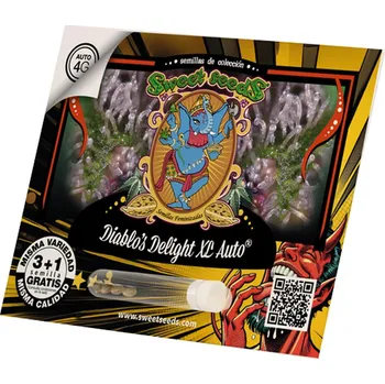 Semeno Diablos Delight XL AUTO – samonakvétací semena | Sweet Seeds Feminized (Ks): 3 + 1 Zdarma