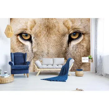 Fototapeta DIMEX | Samolepicí vliesová fototapeta na zeď Lví pohled MA-5-0586 | 375 x 250 cm | béžová, hnědá + Samolepicí vliesová fototapeta na stěnu DIMEX Lví pohled MA50586 v rozměru 375 x 250 cm