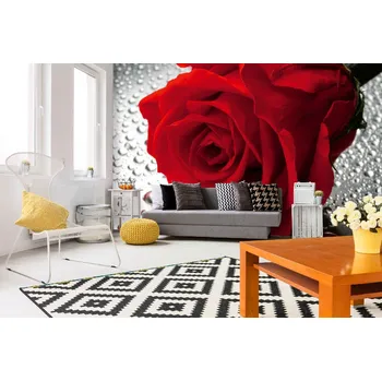Fototapeta DIMEX | Samolepicí vliesová fototapeta na zeď Detail rudé růže MA-5-1398 | 375 x 250 cm | červená, bílá + Samolepicí vliesová fototapeta na stěnu DIMEX Detail rudé růže MA51398 v rozměru 375 x 250 cm