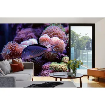 Fototapeta DIMEX | Samolepicí vliesová fototapeta na zeď Ryba s korálem MA-5-0515 | 375 x 250 cm | modrá, fialová, žlutá, růžová + Samolepicí vliesová fototapeta na stěnu DIMEX Ryba s korálem MA50515 v rozměru 375 x 250 cm