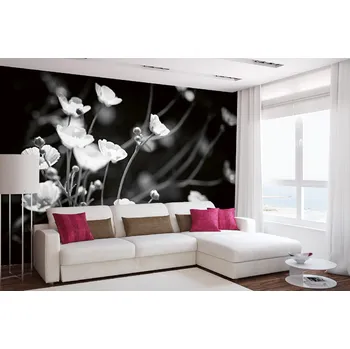 Fototapeta DIMEX | Samolepicí vliesová fototapeta na zeď Černé a bílé květy MA-5-1321 | 375 x 250 cm | bílá, černá + Samolepicí vliesová fototapeta na stěnu DIMEX Černé a bílé květy MA51321 v rozměru 375 x 250 cm