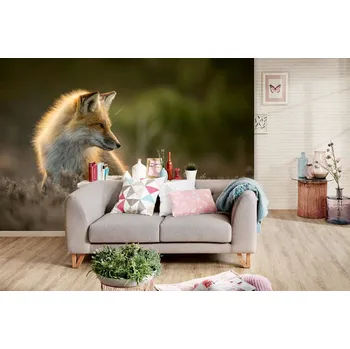 Fototapeta DIMEX | Samolepicí vliesová fototapeta na zeď Liška pózující na slunci MA-5-0611 | 375 x 250 cm | zelená, oranžová, hnědá + Samolepicí vliesová fototapeta na stěnu DIMEX Liška pózující na slunci MA50611 v rozměru 375 x 250 cm