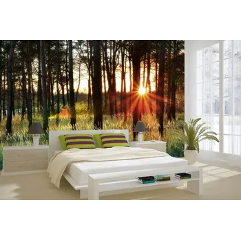 Fototapeta DIMEX | Samolepicí vliesová fototapeta na zeď Paprsky v lese II. MA-5-1864 | 375 x 250 cm | zelená, černá, oranžová, hnědá + Samolepicí vliesová fototapeta na stěnu DIMEX Paprsky v lese II. MA51864 v rozměru 375 x 250 cm