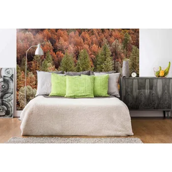 Fototapeta DIMEX | Samolepicí vliesová fototapeta na zeď Krásný podzimní les MA-5-1915 | 375 x 250 cm | zelená, hnědá + Samolepicí vliesová fototapeta na stěnu DIMEX Krásný podzimní les MA51915 v rozměru 375 x 250 cm