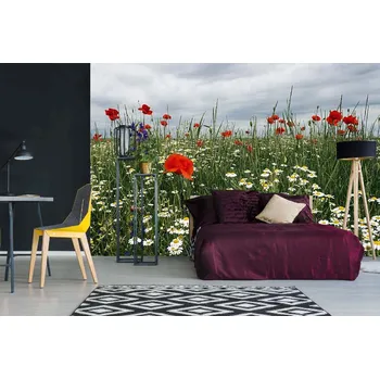 Fototapeta DIMEX | Samolepicí vliesová fototapeta na zeď Kvetoucí letní louka MA-5-1341 | 375 x 250 cm | zelená, modrá, červená, bílá + Samolepicí vliesová fototapeta na stěnu DIMEX Kvetoucí letní louka MA51341 v rozměru 375 x 250 cm