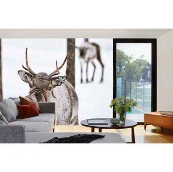 Fototapeta DIMEX | Samolepicí vliesová fototapeta na zeď Sob v zimě MA-5-0617 | 375 x 250 cm | bílá, béžová, hnědá + Samolepicí vliesová fototapeta na stěnu DIMEX Sob v zimě MA50617 v rozměru 375 x 250 cm