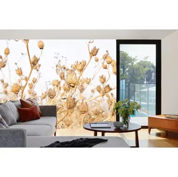 Fototapeta DIMEX | Samolepicí vliesová fototapeta na zeď Stramonium, suché rostliny MA-5-1350 | 375 x 250 cm | bílá, krémová, hnědá + Samolepicí vliesová fototapeta na stěnu DIMEX Stramonium, suché rostliny MA51350 v rozměru 375 x 250 cm