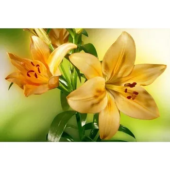 Fototapeta DIMEX | Samolepicí vliesová fototapeta na zeď Lilie MA-5-0139 | 375 x 250 cm | zelená, žlutá + Samolepicí vliesová fototapeta na stěnu DIMEX Lilie MA50139 v rozměru 375 x 250 cm