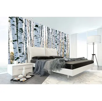 Fototapeta DIMEX | Samolepicí vliesová fototapeta na zeď Kmeny břízy MA-5-1873 | 375 x 250 cm | zelená, bílá, černá + Samolepicí vliesová fototapeta na stěnu DIMEX Kmeny břízy MA51873 v rozměru 375 x 250 cm