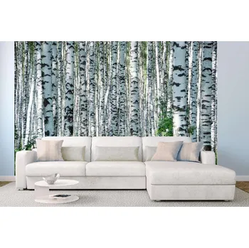 Fototapeta DIMEX | Samolepicí vliesová fototapeta na zeď Letní den v březovém háji MA-5-1889 | 375 x 250 cm | zelená, bílá, černá + Samolepicí vliesová fototapeta na stěnu DIMEX Letní den v březovém háji MA51889 v rozměru 375 x 250 cm