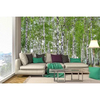 Fototapeta DIMEX | Samolepicí vliesová fototapeta na zeď Jarní březový háj MA-5-1888 | 375 x 250 cm | zelená, bílá, černá + Samolepicí vliesová fototapeta na stěnu DIMEX Jarní březový háj MA51888 v rozměru 375 x 250 cm