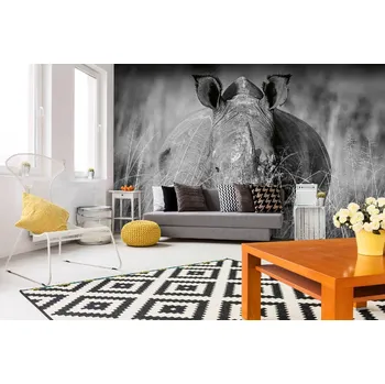 Fototapeta DIMEX | Samolepicí vliesová fototapeta na zeď Nosorožec v trávě MA-5-0454 | 375 x 250 cm | bílá, černá + Samolepicí vliesová fototapeta na stěnu DIMEX Nosorožec v trávě MA50454 v rozměru 375 x 250 cm
