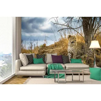 Fototapeta DIMEX | Samolepicí vliesová fototapeta na zeď Divoký leopard MA-5-0566 | 375 x 250 cm | modrá, béžová, hnědá + Samolepicí vliesová fototapeta na stěnu DIMEX Divoký leopard MA50566 v rozměru 375 x 250 cm