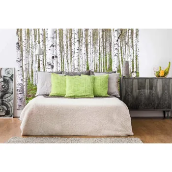 Fototapeta DIMEX | Samolepicí vliesová fototapeta na zeď Březový háj MA-5-1871 | 375 x 250 cm | zelená, bílá, černá + Samolepicí vliesová fototapeta na stěnu DIMEX Březový háj MA51871 v rozměru 375 x 250 cm