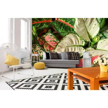 Fototapeta DIMEX | Samolepicí vliesová fototapeta na zeď Aglaonema MA-5-1282 | 375 x 250 cm | zelená, červená, bílá + Samolepicí vliesová fototapeta na stěnu DIMEX Aglaonema MA51282 v rozměru 375 x 250 cm