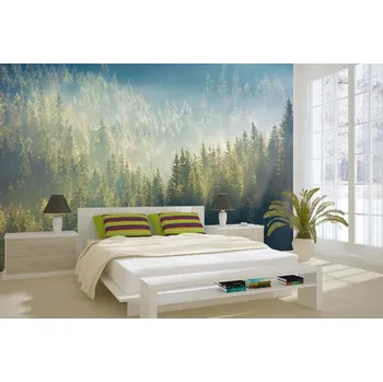 Fototapeta DIMEX | Samolepicí vliesová fototapeta na zeď Mlha nad lesem MA-5-1868 | 375 x 250 cm | zelená, bílá, černá, šedá + Samolepicí vliesová fototapeta na stěnu DIMEX Mlha nad lesem MA51868 v rozměru 375 x 250 cm