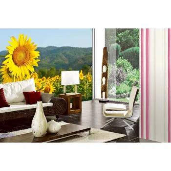 Fototapeta DIMEX | Samolepicí vliesová fototapeta na zeď Kvetoucí slunečnice MA-5-1292 | 375 x 250 cm | zelená, žlutá + Samolepicí vliesová fototapeta na stěnu DIMEX Kvetoucí slunečnice MA51292 v rozměru 375 x 250 cm