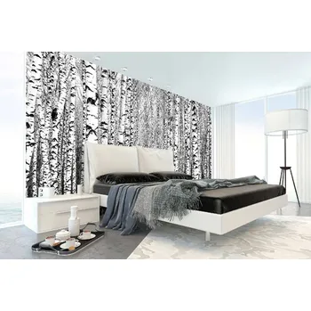 Fototapeta DIMEX | Samolepicí vliesová fototapeta na zeď Jarní kmeny MA-5-1906 | 375 x 250 cm | bílá, černá + Samolepicí vliesová fototapeta na stěnu DIMEX Jarní kmeny MA51906 v rozměru 375 x 250 cm