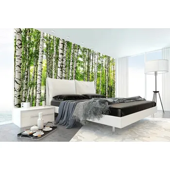 Fototapeta DIMEX | Samolepicí vliesová fototapeta na zeď Březový les MA-5-1867 | 375 x 250 cm | zelená, bílá, černá + Samolepicí vliesová fototapeta na stěnu DIMEX Březový les MA51867 v rozměru 375 x 250 cm