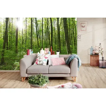 Fototapeta DIMEX | Samolepicí vliesová fototapeta na zeď Hluboký les MA-5-1859 | 375 x 250 cm | zelená, bílá, hnědá + Samolepicí vliesová fototapeta na stěnu DIMEX Hluboký les MA51859 v rozměru 375 x 250 cm
