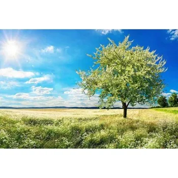 Fototapeta DIMEX | Samolepicí vliesová fototapeta na zeď Strom na louce MA-5-0096 | 375 x 250 cm | zelená, modrá + Samolepicí vliesová fototapeta na stěnu DIMEX Strom na louce MA50096 v rozměru 375 x 250 cm