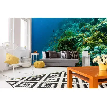 Fototapeta DIMEX | Samolepicí vliesová fototapeta na zeď Ryby na útesu MA-5-0532 | 375 x 250 cm | zelená, modrá + Samolepicí vliesová fototapeta na stěnu DIMEX Ryby na útesu MA50532 v rozměru 375 x 250 cm